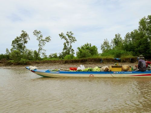 Thuyền bán hoa quả trên sông ở miền Tây