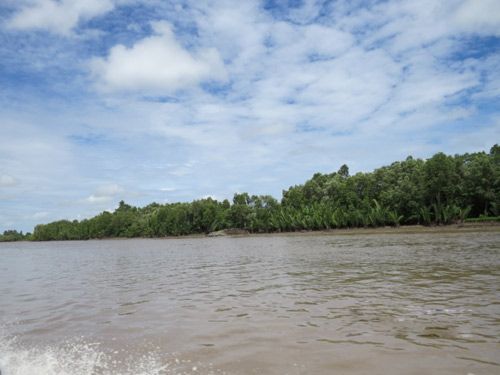 Một góc bờ sông ở Miền Tây