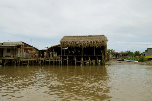 Sông nước miền Tây