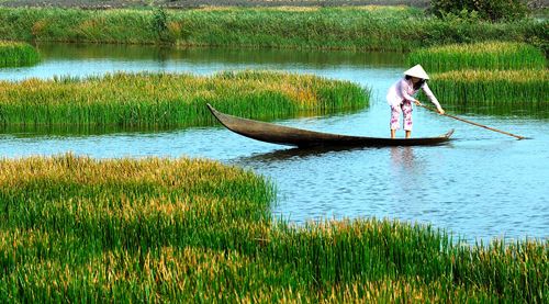Sông nước Cà Mau luôn là điểm đến thích thú của nhiều du khách