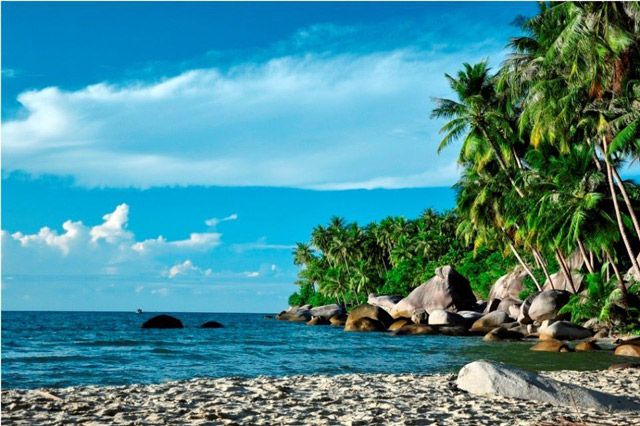 Những rặng dừa trên đảo Hòn Sơn - Kiên Giang