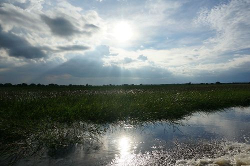 Vườn quốc gia Tràm Chim