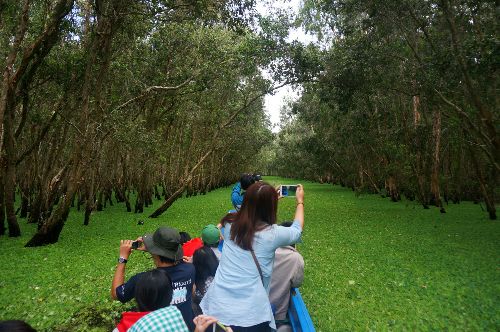 Rừng tràm Trà Sư