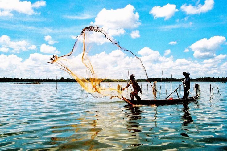 Người dân đánh bắt cá đồng ở U Minh Hạ