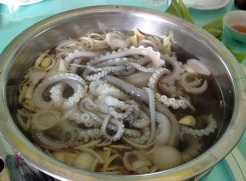 Bạch tuộc Cà Mau hấp nước dừa tươi