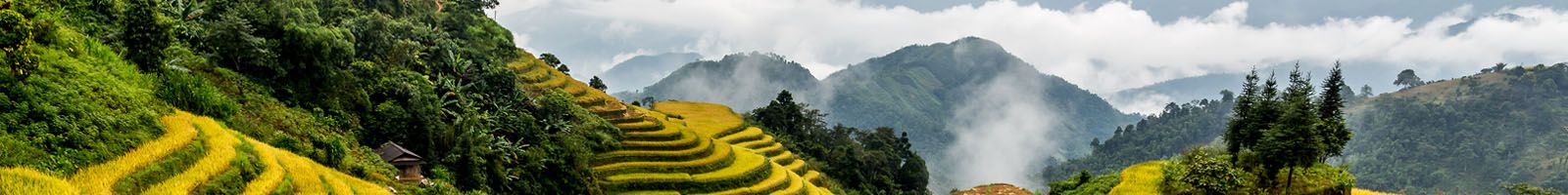 Các Tour Du lịch đi Sapa Giá Rẻ: Ngày thường, Tour Lễ Tết