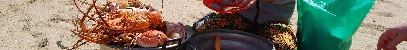 Tour Du lịch Nha Trang Giá Rẻ Nhất: Tour thường, Hè, Lễ Tết