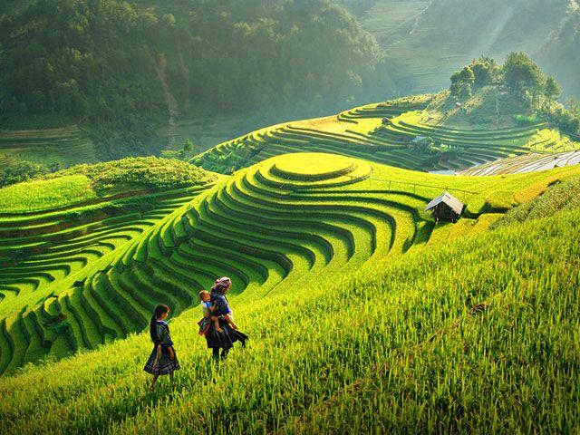 Tour du lịch Hà Nội - Lào Cai - Sapa 4N3Đ từ TPHCM giá tốt