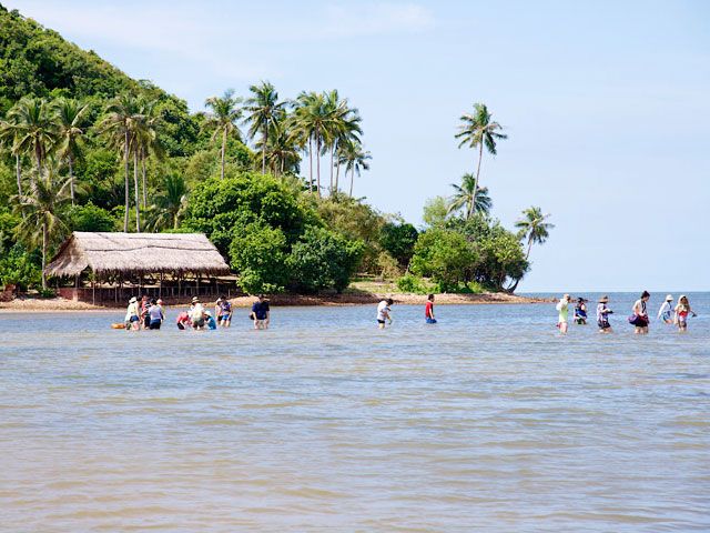 Tour Du lịch Miền Tây - Đảo Bà Lụa - Rừng Tràm Trà Sư