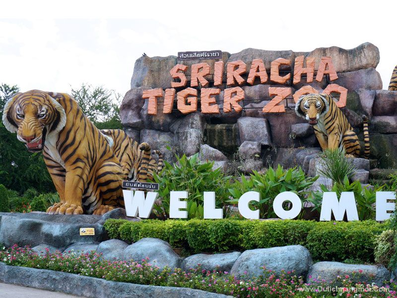 Công viên Sriracha Tiger Zoo