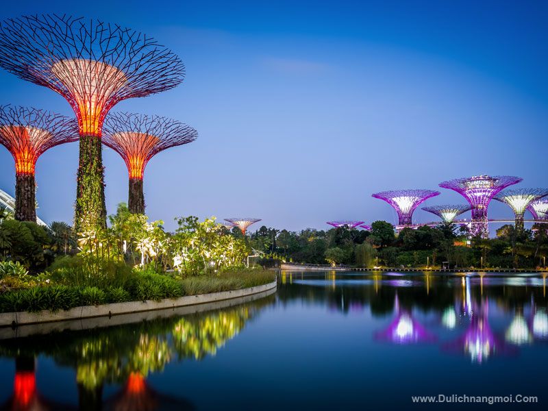 Tham quan khu vườn Gardens by the Bay, Singapore