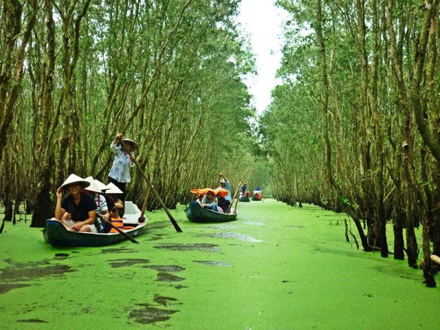 2 ngày khám phá Đảo Bà Lụa và Rừng Tràm Trà Sư