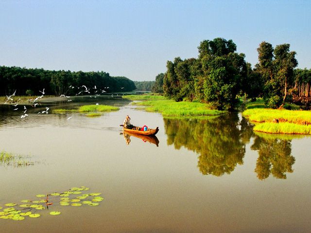 Tour du lịch trải nghiệm Mùa Nước Nổi Miền Tây 3 ngày 2 đêm