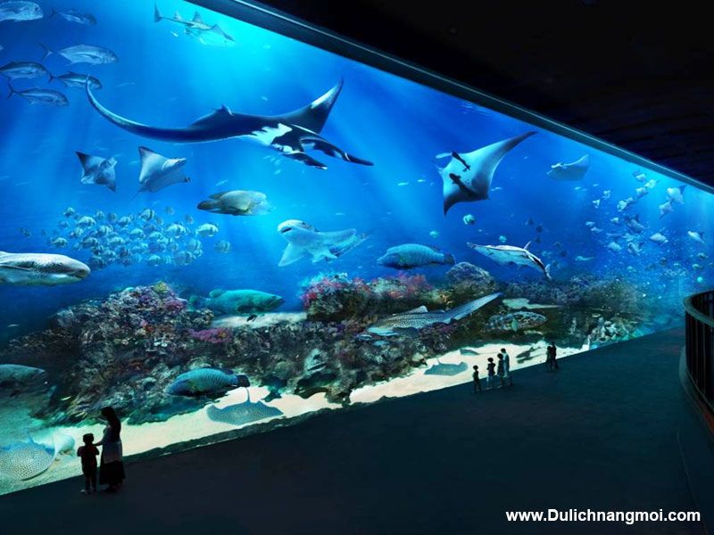 Thủy cung Sea Aquarium