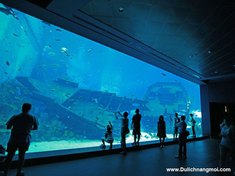 Thủy cung Sea Aquarium, Singapore