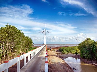 Đẹp mê mẩn khu cánh đồng điện gió Bạc Liêu