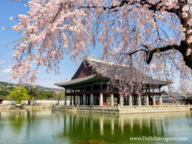 Gyeongbokgung Palace - Hàn Quốc