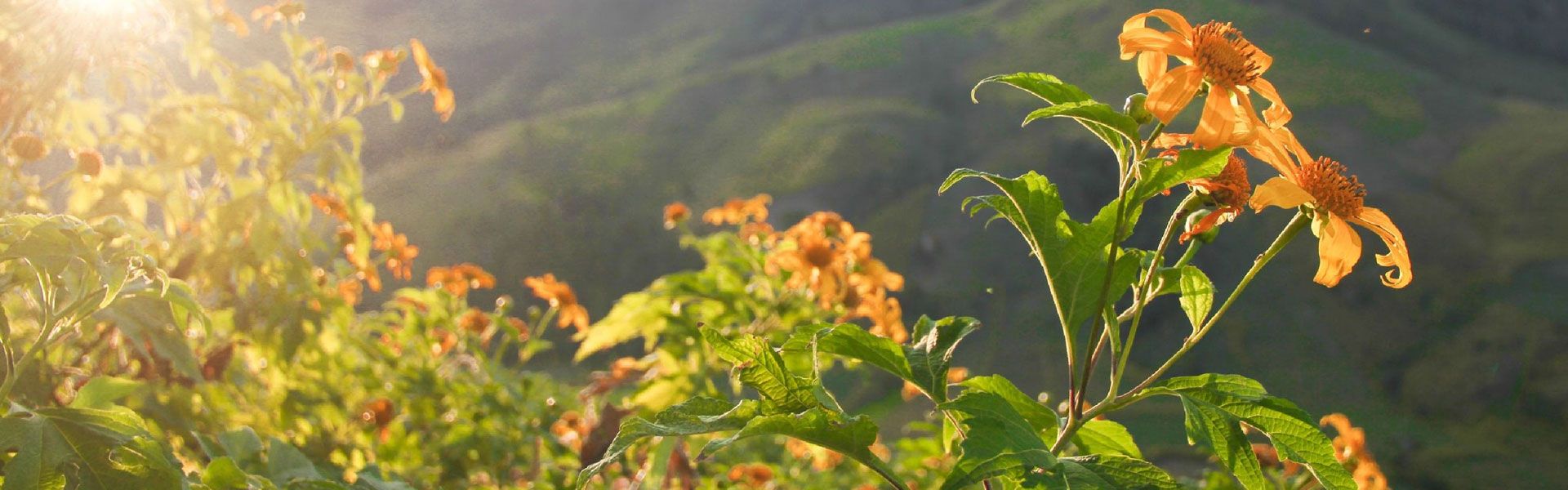 Tour du lịch khách đoàn - Khám phá Đại Ngàn Tây Nguyên 3 ngày 2 đêm