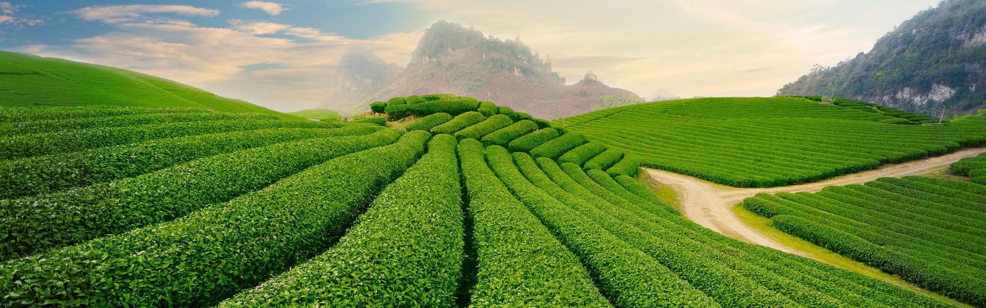 Tour du lịch khách đoàn Đà Lạt 3 ngày 3 đêm giá rẻ