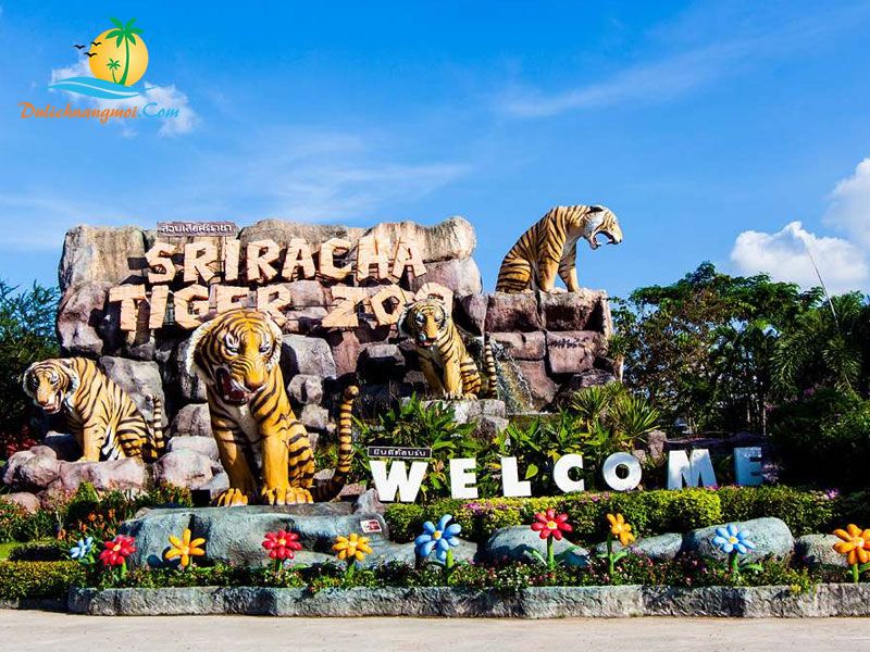 Vườn thú Sriracha Tiger Zoo