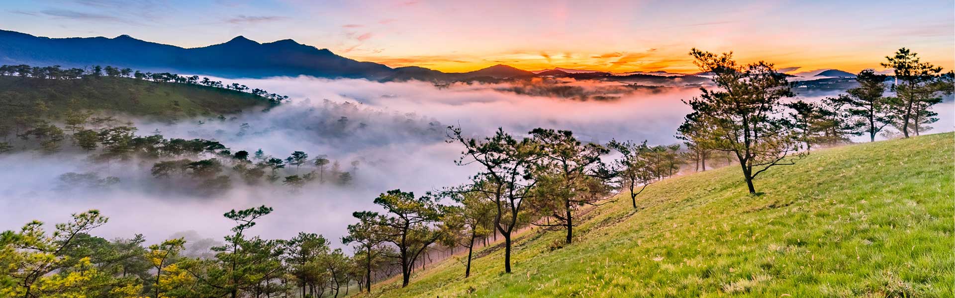 Tour du lịch hành trình Xuyên Việt 9 ngày 8 đêm khám phá dãi đất Miền Trung