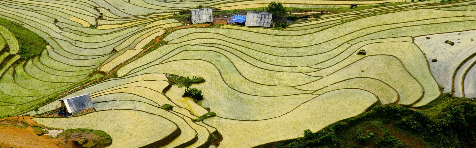 Tour du lịch khách đoàn khám phá Miền Bắc Hà Nội - Hạ Long - Sapa 5 ngày 4 đêm