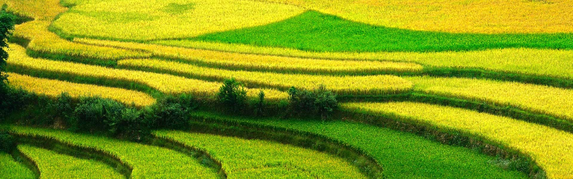 Tour du lịch khách đoàn đi Miền Bắc khám phá Sapa 3 ngày 2 đêm giá rẻ