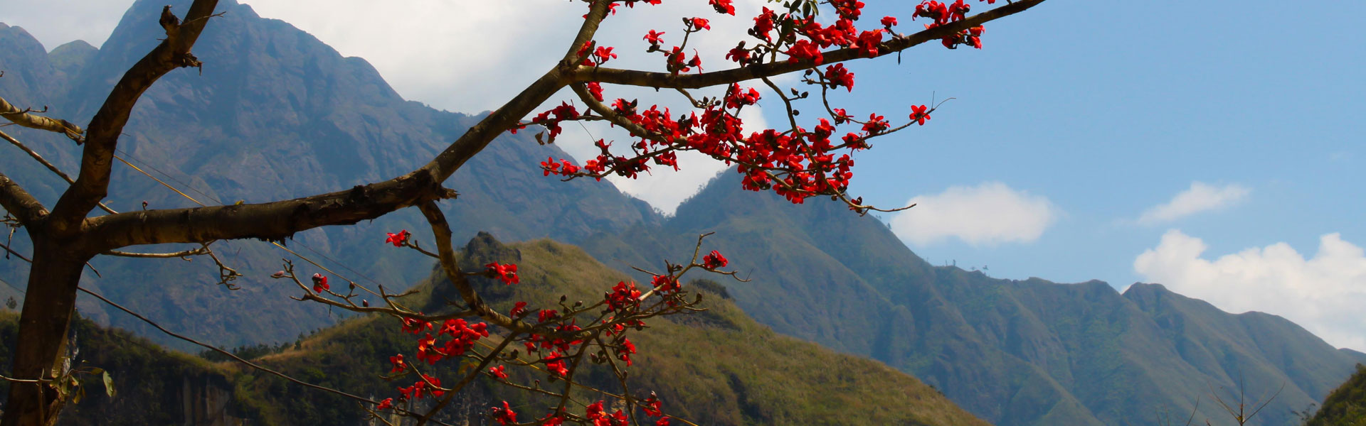 Tour du lịch Miền Bắc Hà Nội - Sapa - Mộc Châu khám phá Tây Bắc hùng vĩ