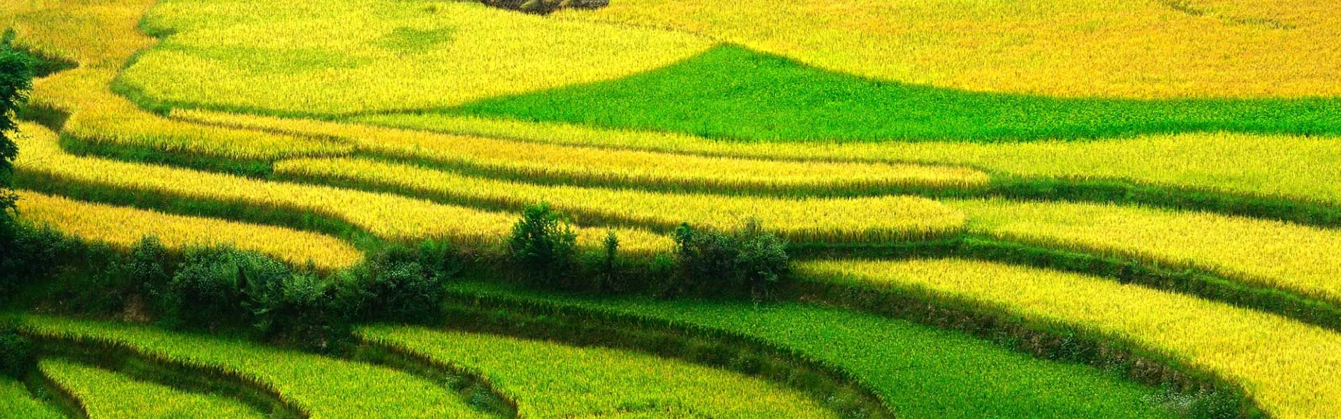 Tour du lịch chinh Phục Cao Nguyên Đá Đồng Văn - Hà Giang 4 ngày 3 đêm