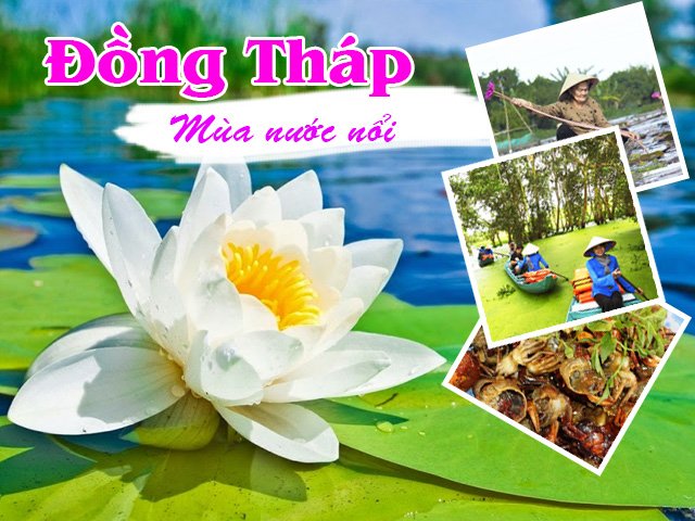 Tour Đồng Tháp - Chàm Chim 2N1Đ giá 1,570,000đ