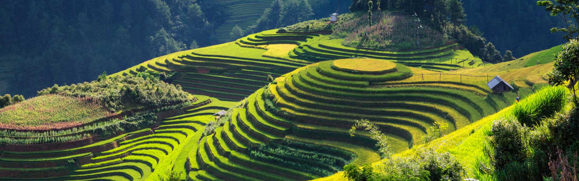 Tour du Lịch khách đoàn khám phá vùng Đông Bắc Việt Nam 4 ngày 3 đêm