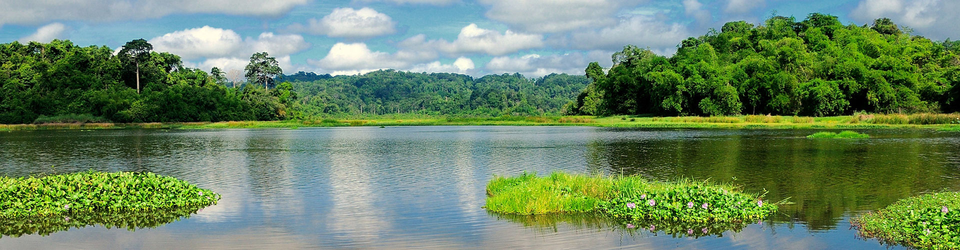 Tour du lịch khách đoàn khám phá Rừng Nam Cát Tiên