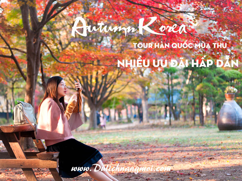 Cẩm nang khám phá Hàn Quốc Mùa Thu