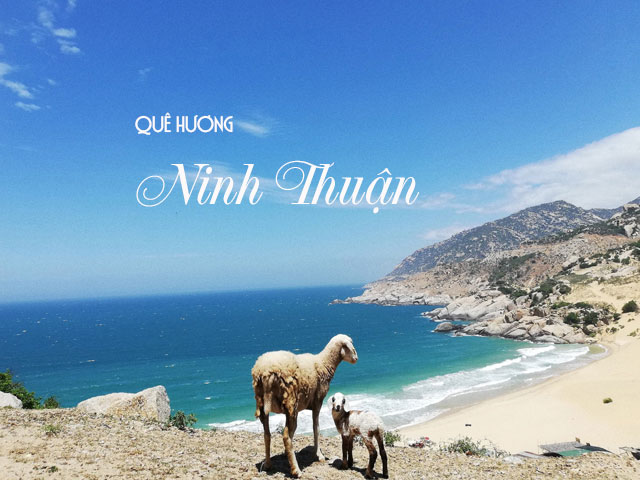 Tour du lịch Ninh Chữ - Vịnh Vĩnh Hy 2N2Đ