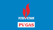 Công Ty Tư Vấn Quản Lý Dự Án Khí (Pv Gas Pmb)