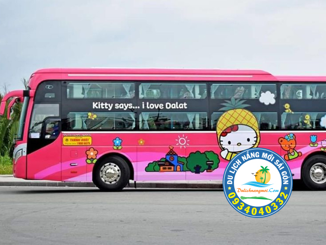 Kinh nghiệm dễ dàng khi thuê xe giường nằm từ 37- 44 chỗ đi du lịch