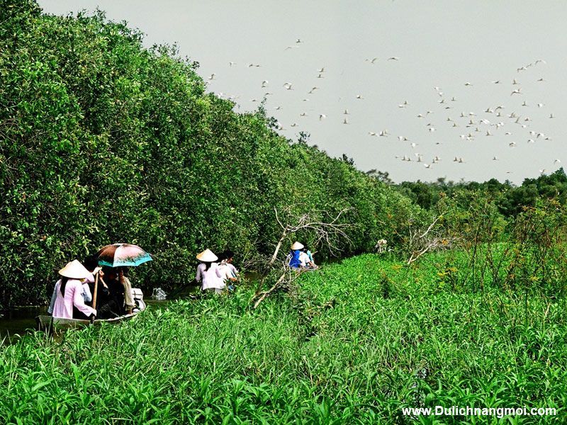 Khu du lịch sinh thái Gáo Giồng, Đồng Tháp