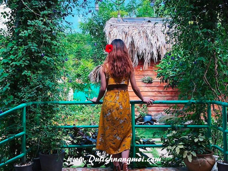 Bạch cúc home Stay Vũng Tàu