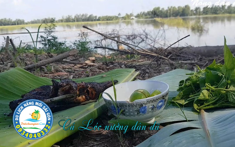 Cá Lóc nướng trui - món dân dã nhưng đậm vị