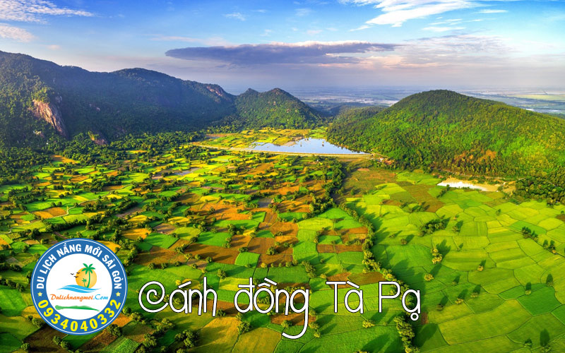 Cánh đồng lúa Tà Pạ An Giang