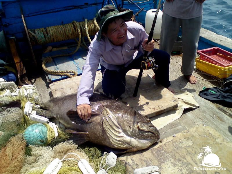 Câu cá biển Đông tại Côn Đảo