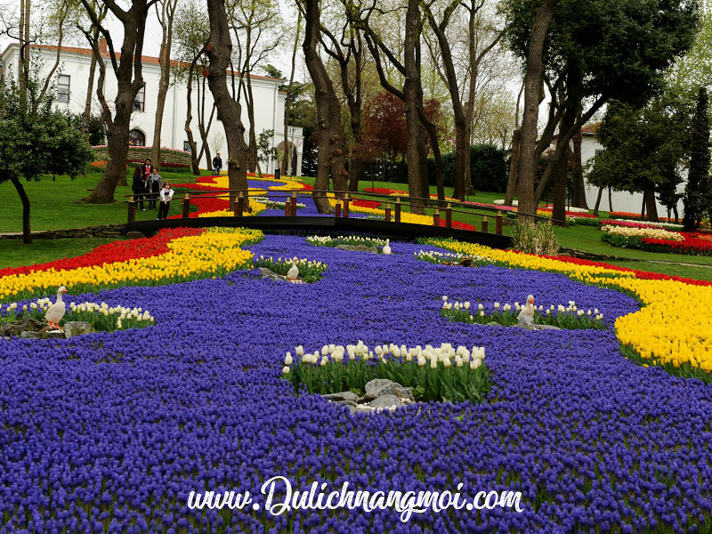 Công viên hoa Tulip tại Istanbul, Thỗ Nhĩ Kỳ