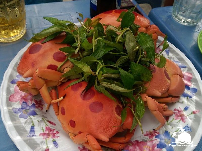 Cua mặt trăng Côn Đảo