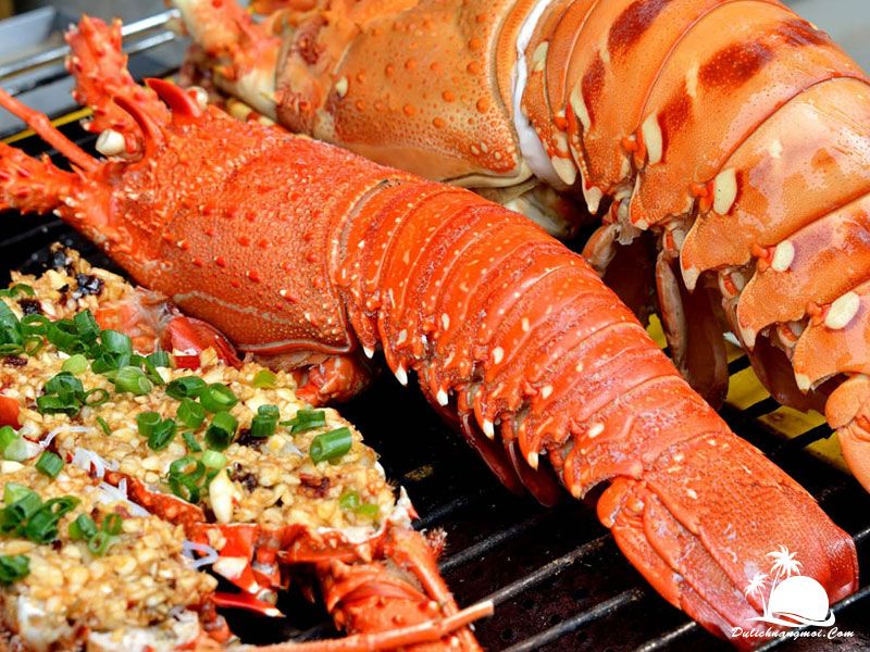 Đặc sản Tôm hùm đỏ - Côn Đảo