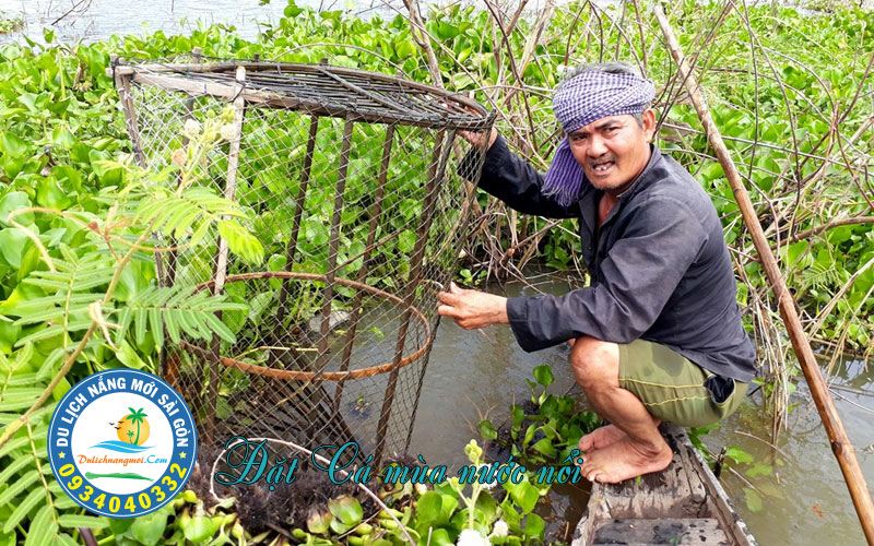 Đặt cá mùa nước nổi