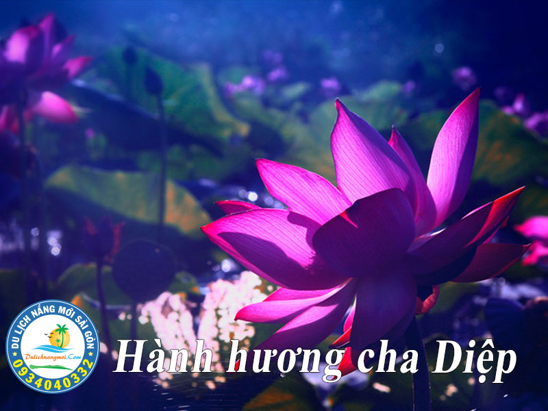 Dâng đóa sen hồng kính dâng cha