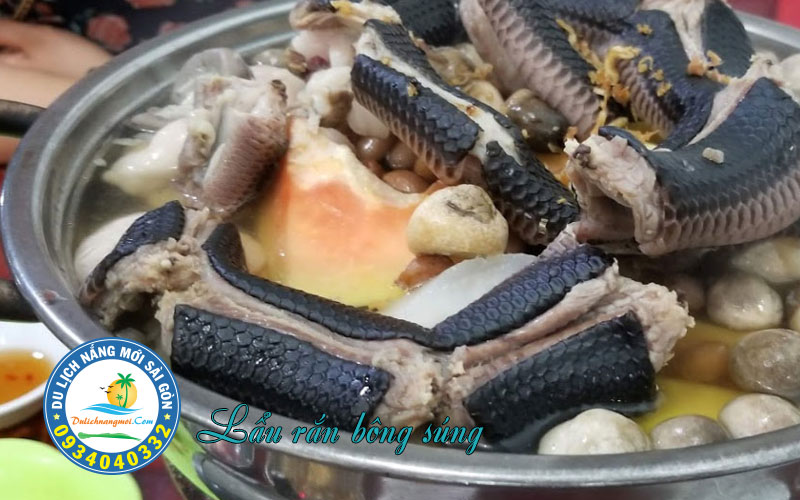 Thưởng thức món lẩu rắn và nhâm nhi vài li rượu