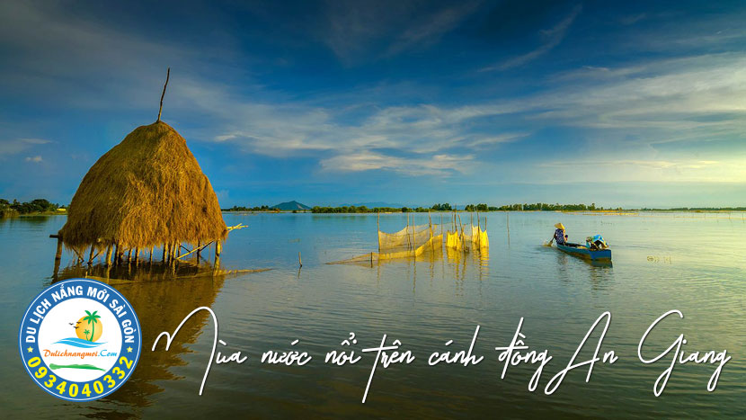Mùa nước nổi trên cánh đồng An Giang
