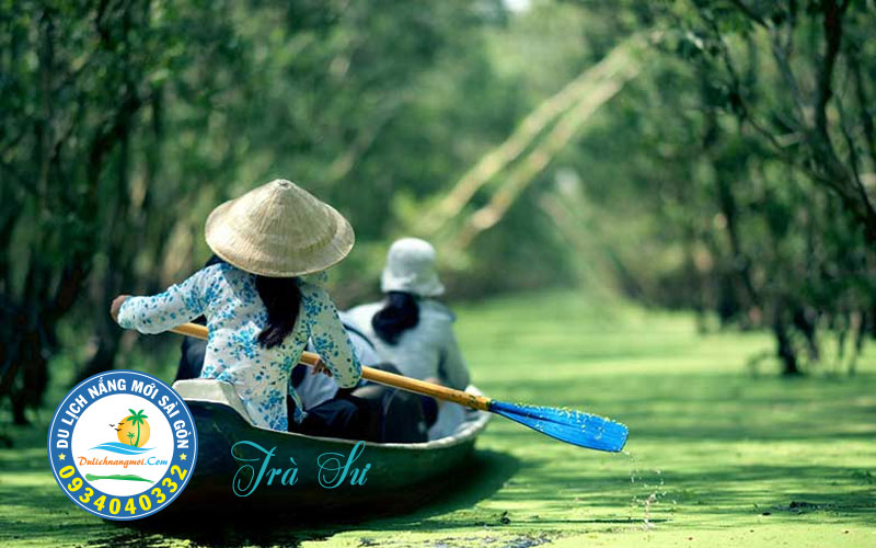 Chèo thuyền trong Rừng Tràm Trà Sư