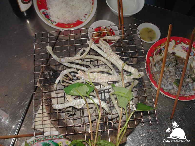 Sá Sùng Côn Đảo